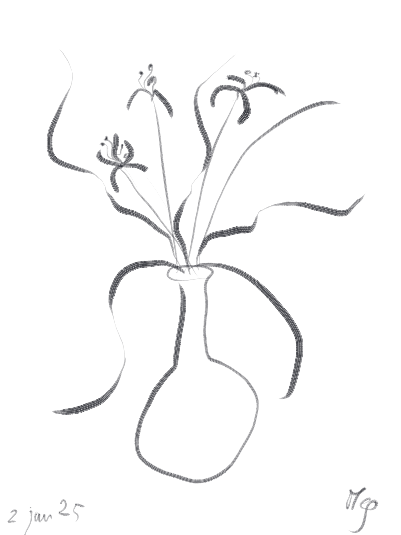 Drawing of flowers.